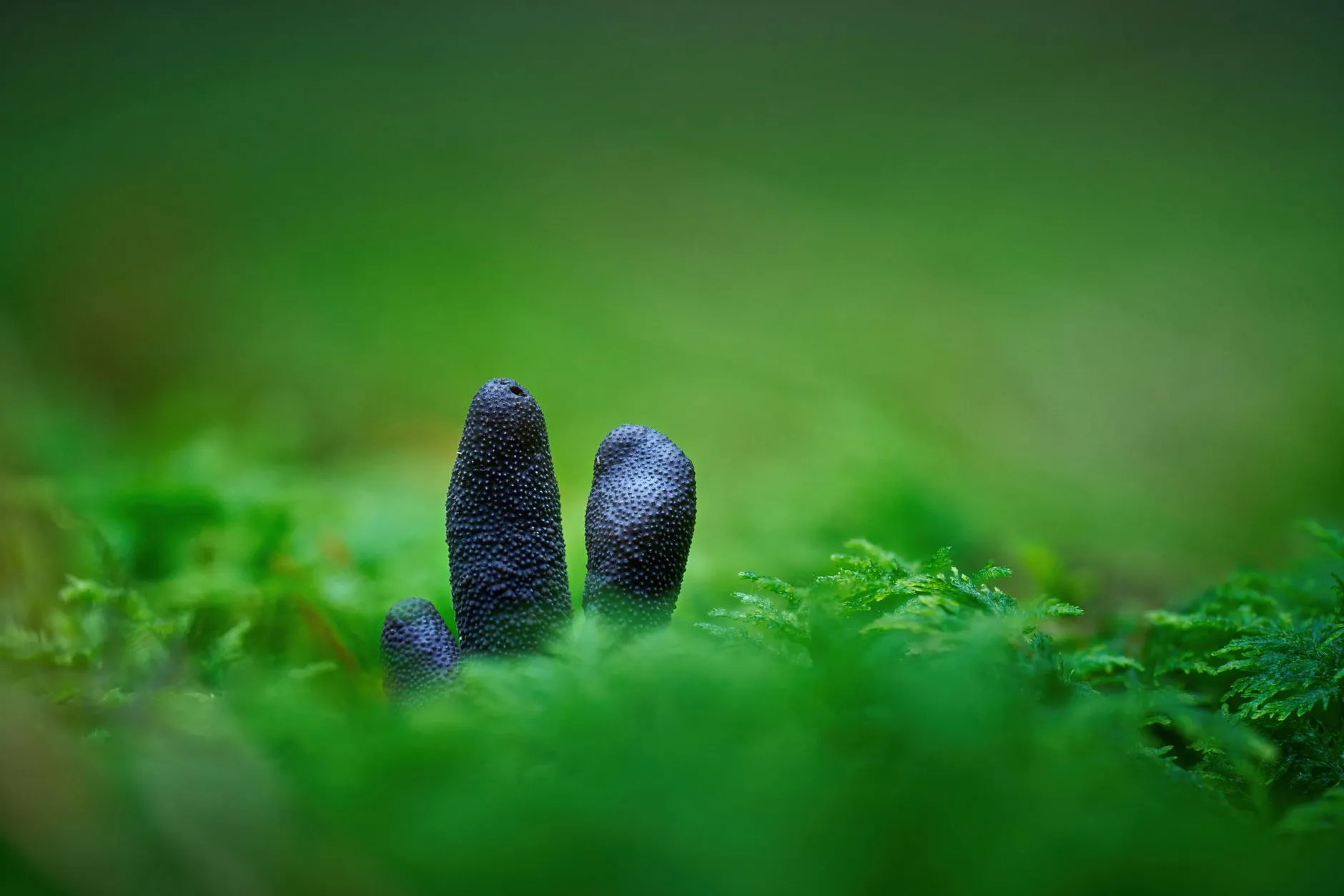 工业传感器在华中自动化设备中的选型要点与注意事项