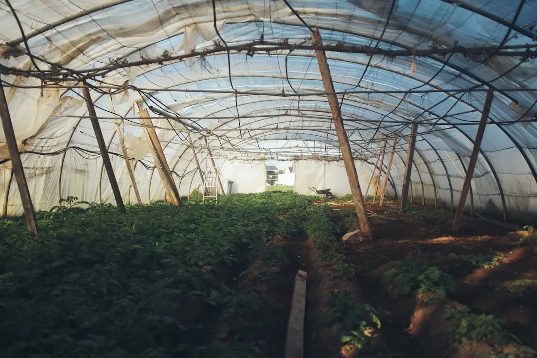 工业传感器信号采集精度提升的技术路径与误差补偿方法解析